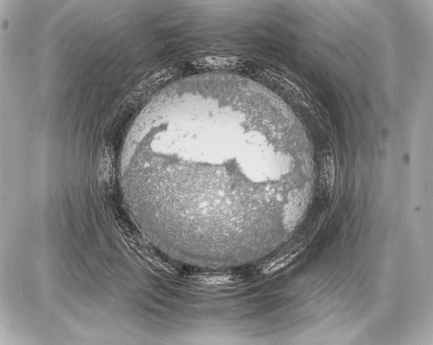 X0000085830651200704091659