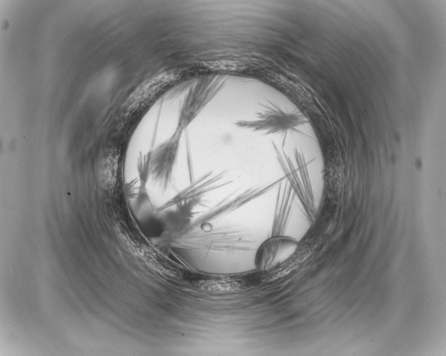 X0000085830652200704091659