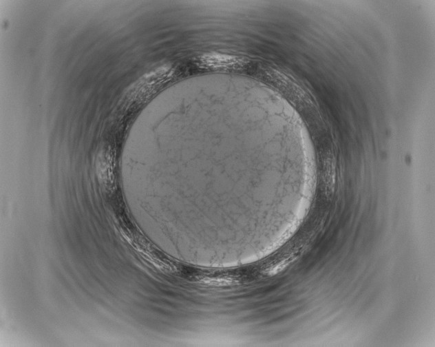 X0000085830653200704091659