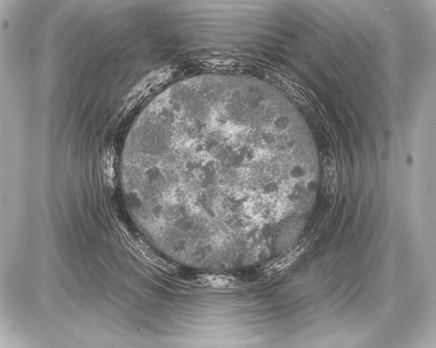 X0000085830654200704091659