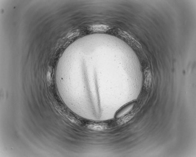 X0000085830655200704091659