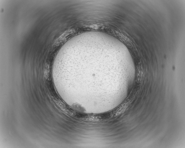 X0000085830656200704091659