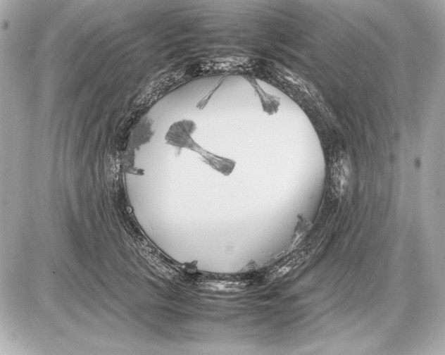 X0000085830657200704091659