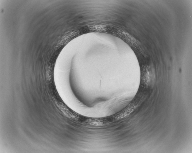 X0000085830658200704091659