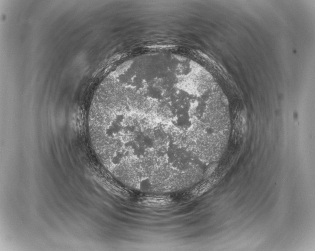 X0000085830659200704091659