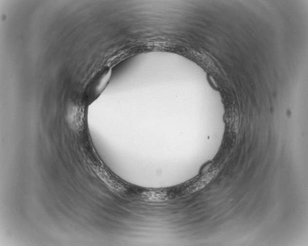 X0000085830660200704091659