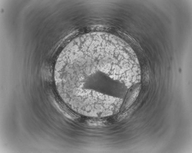 X0000085830661200704091659