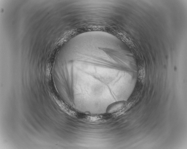 X0000085830662200704091659