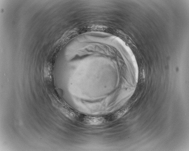 X0000085830663200704091659