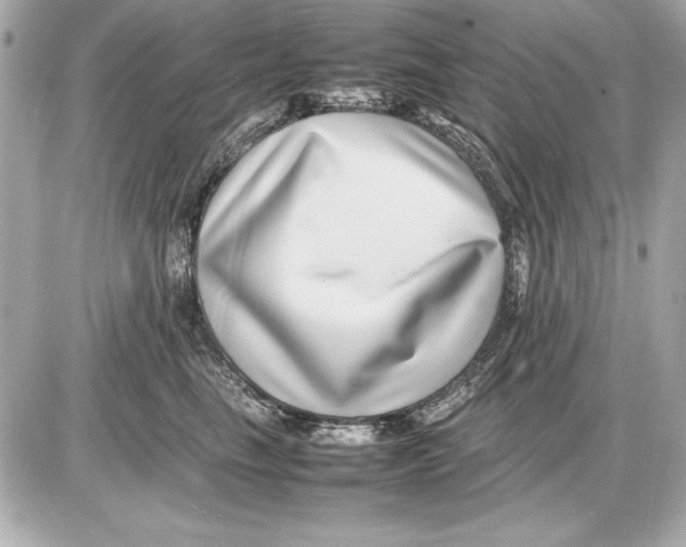 X0000085830665200704091659