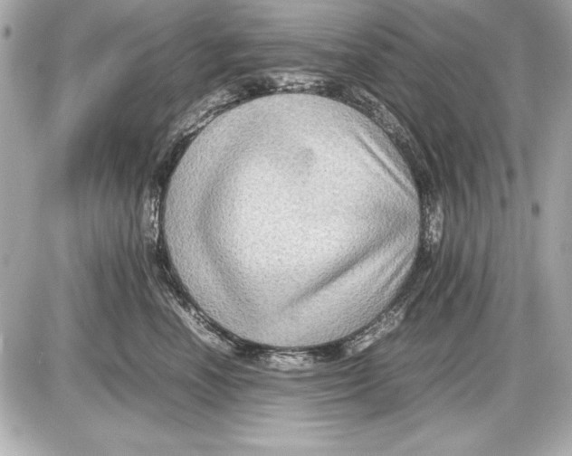 X0000085830666200704091659