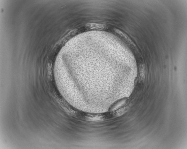 X0000085830667200704091659