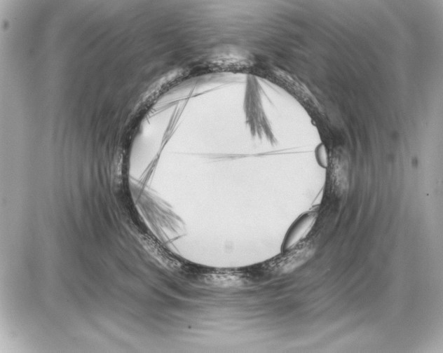 X0000085830668200704091659