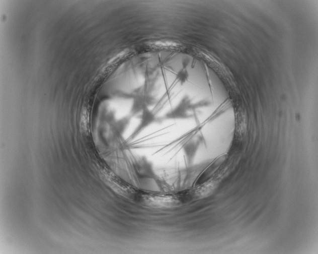 X0000085830669200704091659