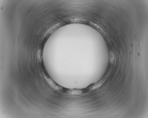 X0000085830670200704091659