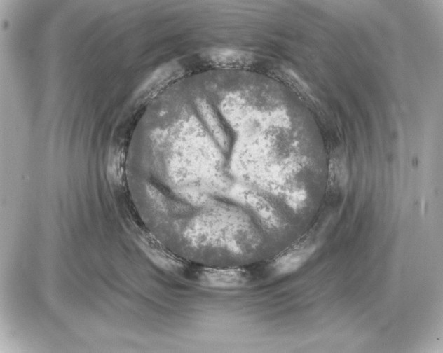 X0000085830671200704091659