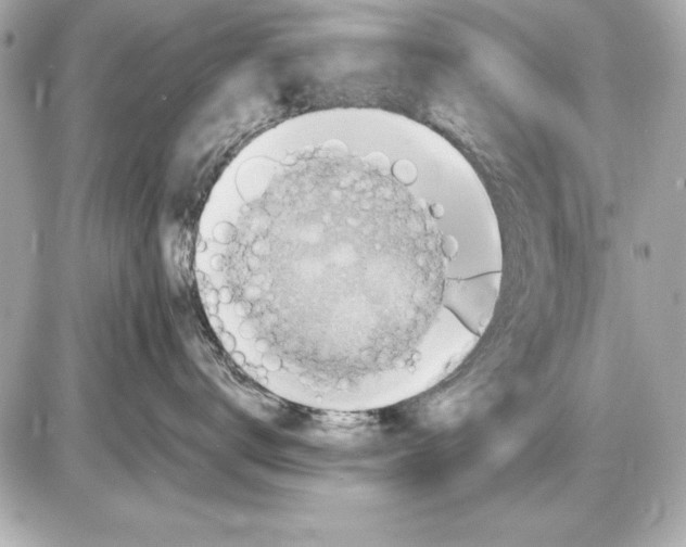 X0000085830672200704091659