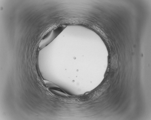 X0000085830673200704091658