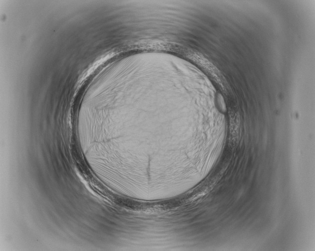 X0000085830674200704091658