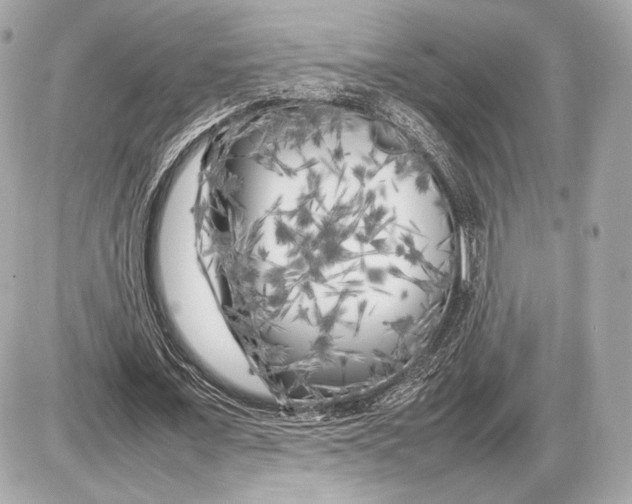 X0000085830675200704091658