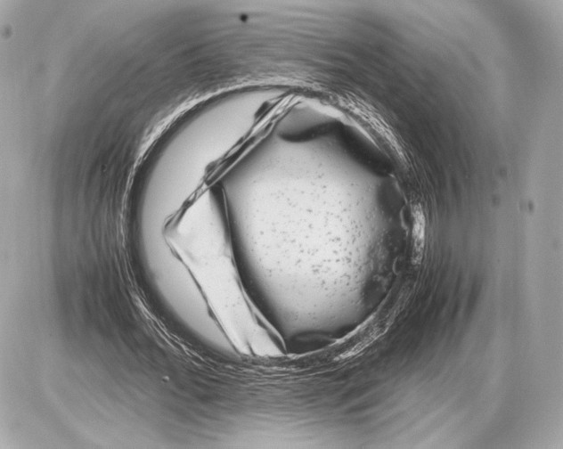 X0000085830676200704091658