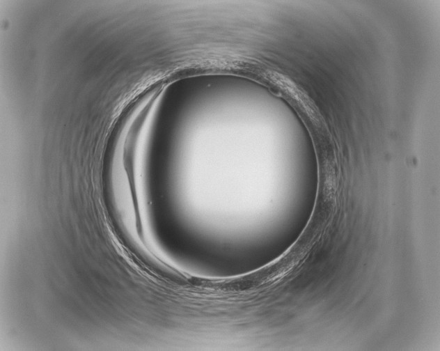 X0000085830677200704091658