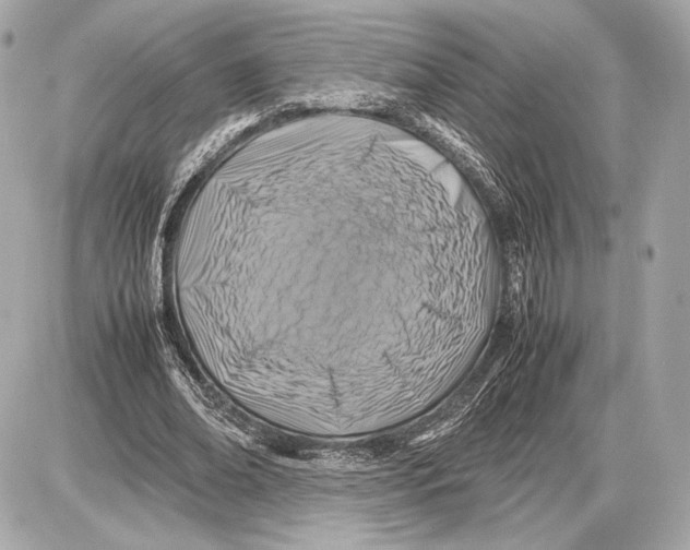 X0000085830678200704091658