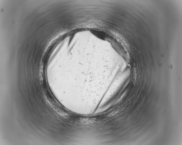 X0000085830680200704091658