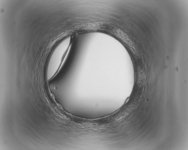 X0000085830681200704091658