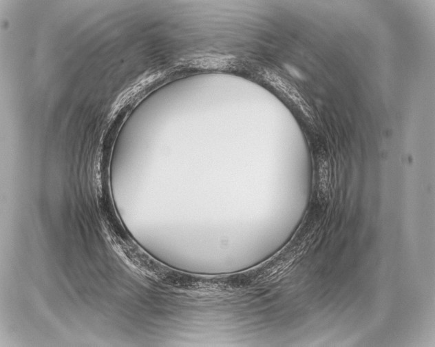 X0000085830682200704091658