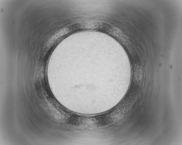 X0000085830683200704091658