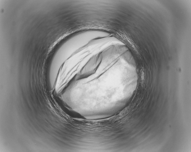 X0000085830684200704091658