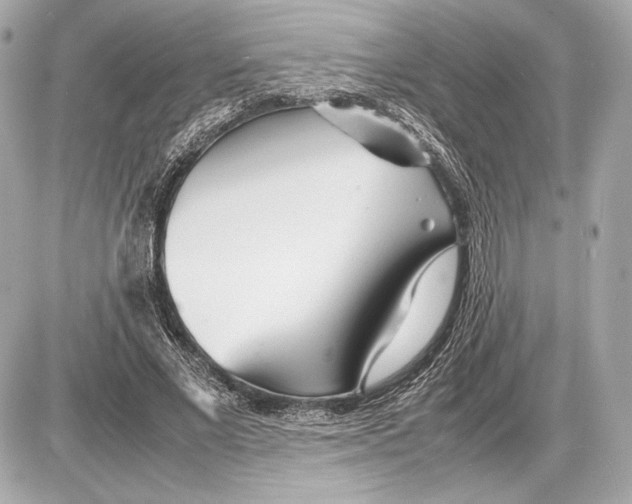 X0000085830685200704091658