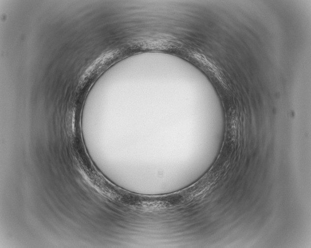 X0000085830686200704091658