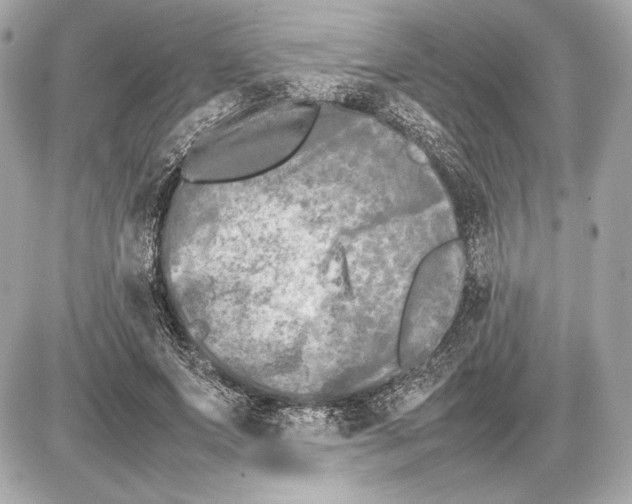 X0000085830687200704091658