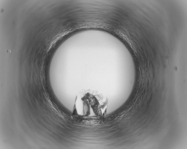 X0000085830688200704091658