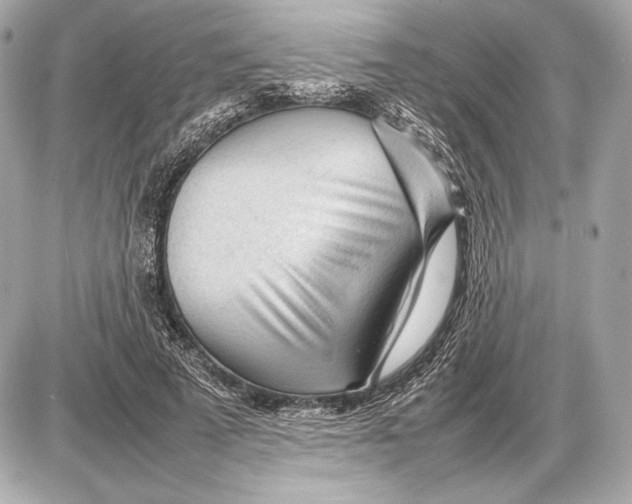 X0000085830689200704091658