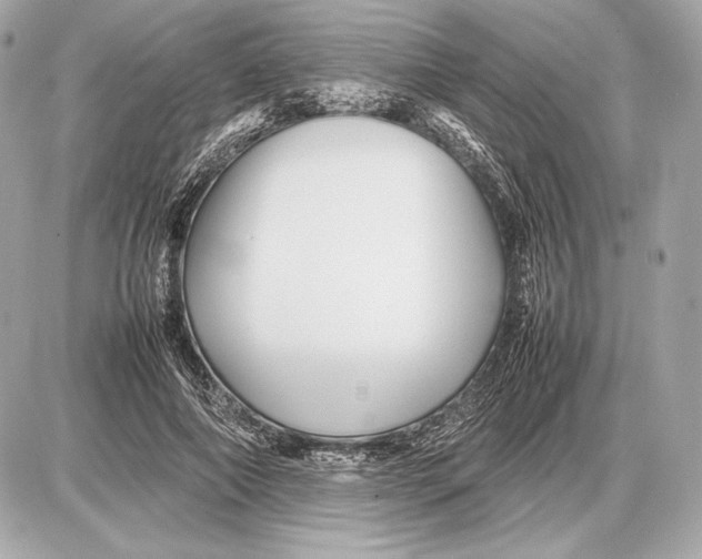 X0000085830690200704091658