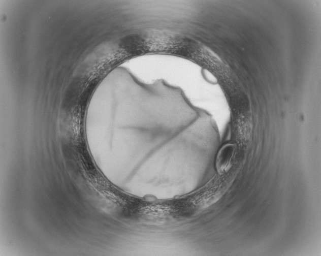 X0000085830691200704091658