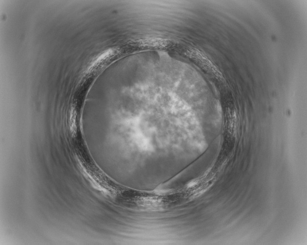 X0000085830692200704091658