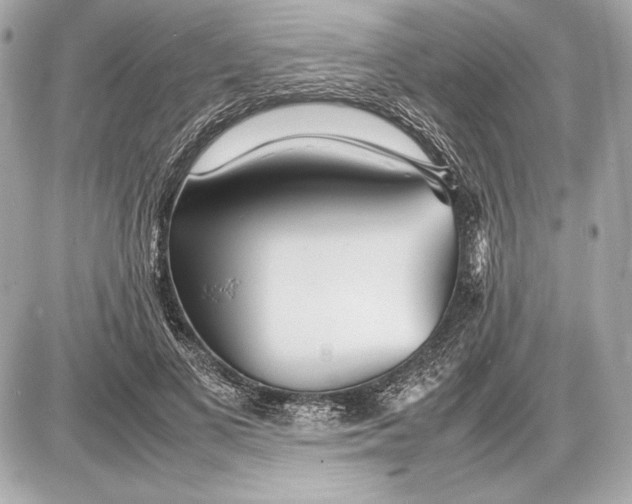 X0000085830693200704091658