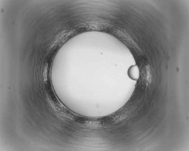 X0000085830694200704091658