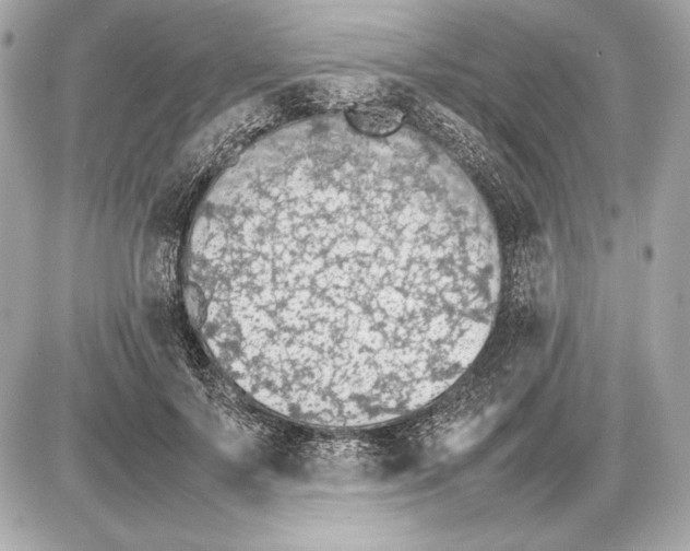 X0000085830695200704091658