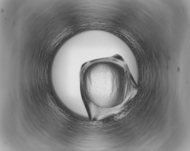 X0000085830696200704091658