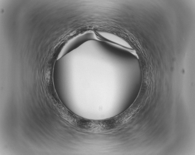 X0000085830697200704091658