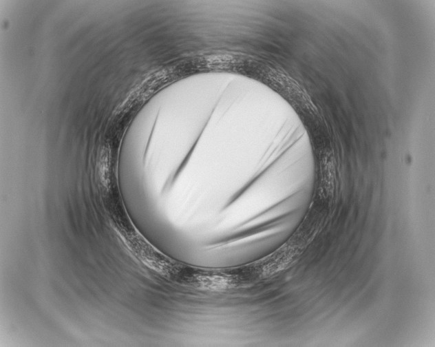 X0000085830698200704091658