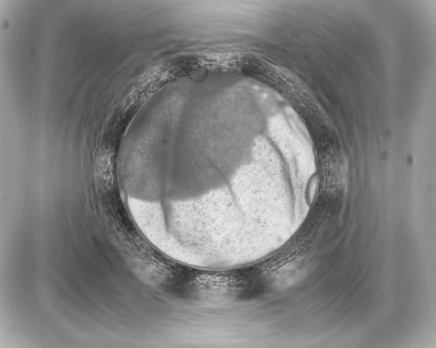 X0000085830699200704091658