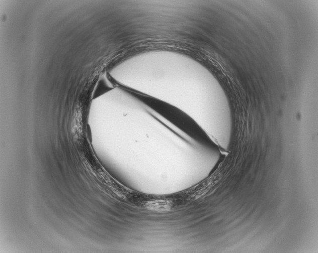 X0000085830700200704091658