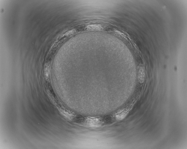 X0000085830701200704091658