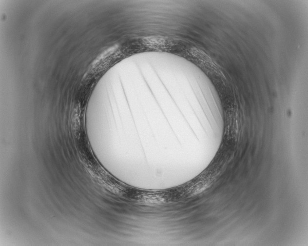 X0000085830702200704091658